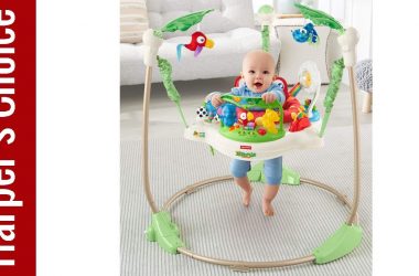 Best Baby Activity Centers In 2020 – The 5