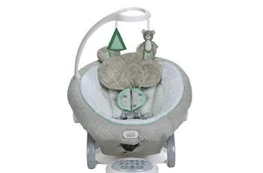 Graco EveryWay Soother Baby Swing with