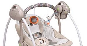 Soothing Portable Swing Comfort