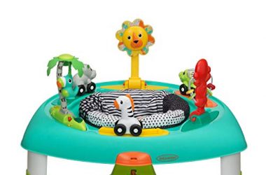 Infantino 3-in-1 Spin & Stand