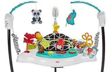 Fisher-Price Animal Wonders Jumperoo,