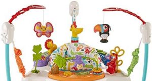 Fisher-Price Animal Activity Jumperoo,