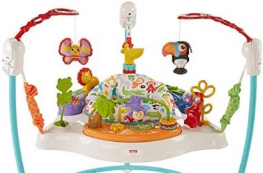 Fisher-Price Animal Activity Jumperoo, Fisher-Price Animal Activity Jumperoo,