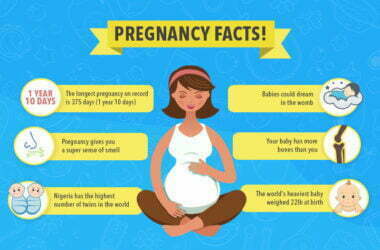 Your Pregnancy: What You Need To Know