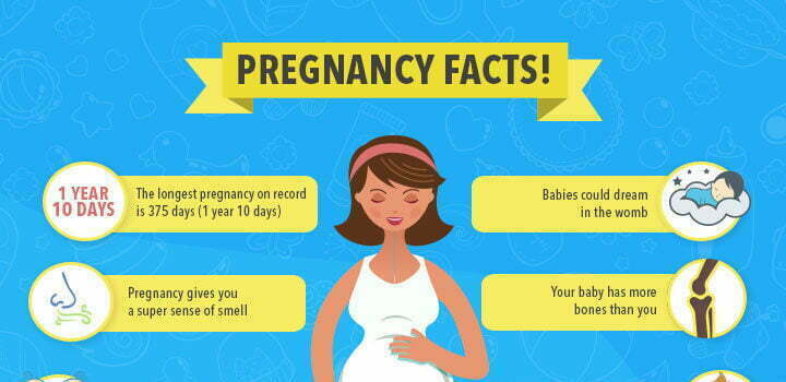 Your Pregnancy: What You Need To Know Your Pregnancy: What You Need To Know
