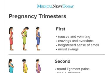 One Of The Most Important Tips About Dealing With Pregnancy (3 )