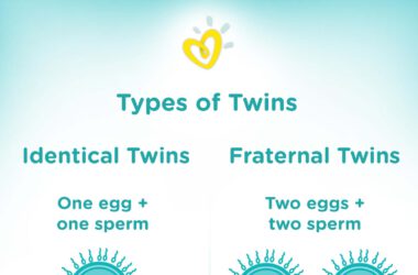 What To Expect From A Twin Pregnancy