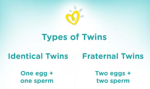 What To Expect From A Twin Pregnancy What To Expect From A Twin Pregnancy